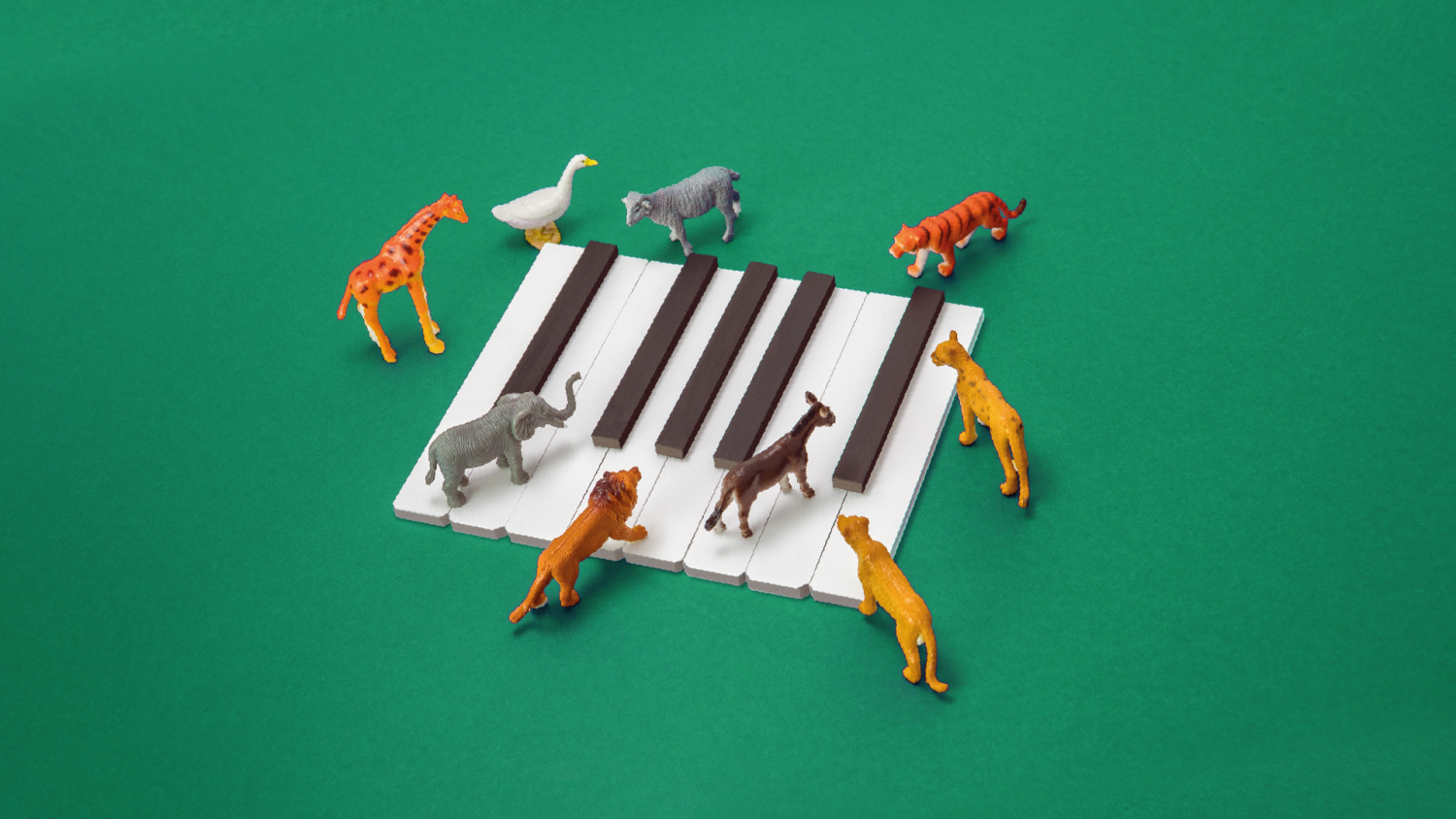 Concierto I El carnaval de los animales  Filarmed