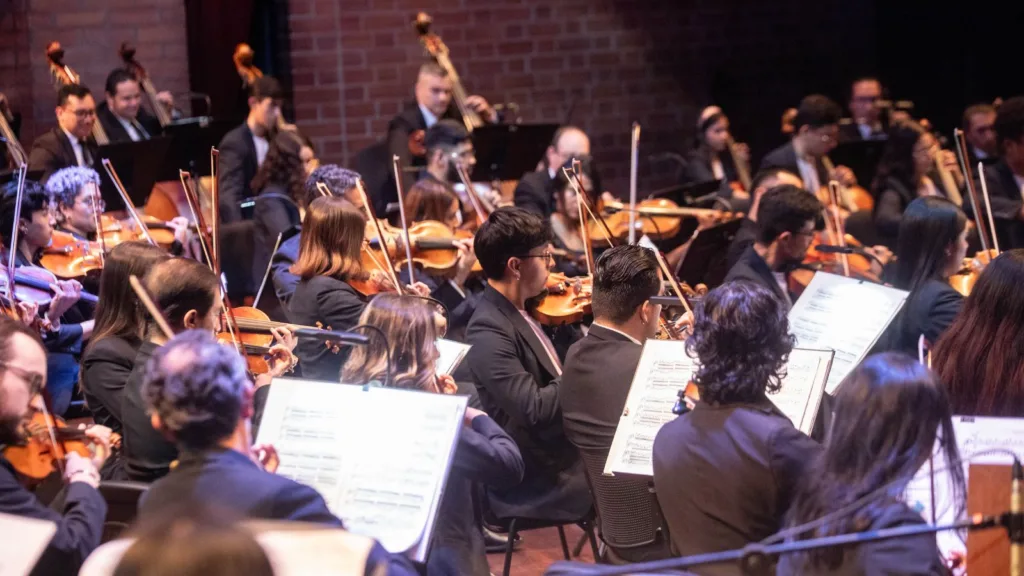 Vista amplia del equipo de cuerdas de la Orquesta Filarmónica de Medellín durante un concierto sinfónico