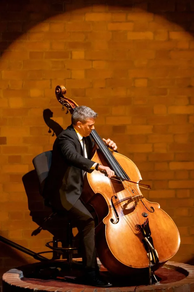 Músico de la Orquesta Filarmónica de Medellín interpretando el contrabajo bajo un haz de luz cálida sobre fondo de ladrillo