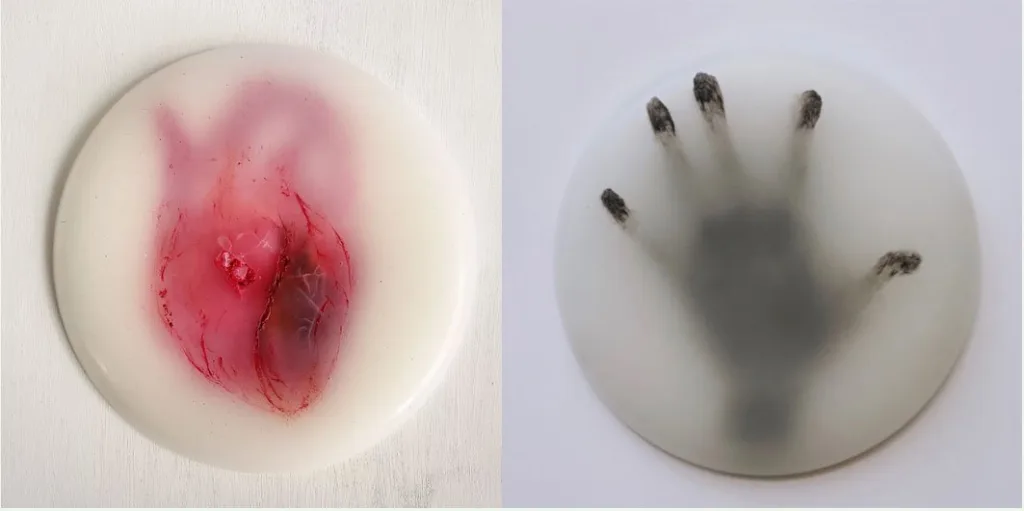 Dos piezas circulares en resina creadas por Camilo Martínez: una con la representación de un corazón humano y otra con la huella de una mano negra, ambas en superficies translúcidas.