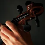 ¨¨